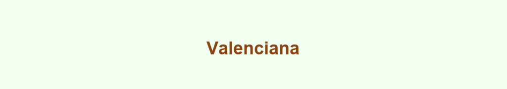 Banniere grossistes-valencianahtml